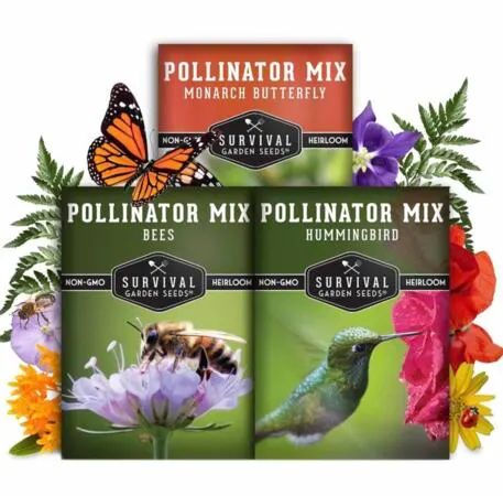 Help Pollinators: FREE Native Seeds from National Geographic: free sample: National Geographic is offering free native pollinator seeds to anyone who signs their Pollinator Pl