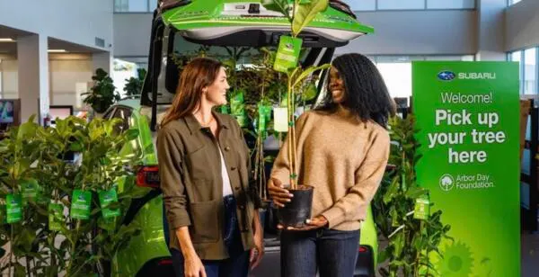 Help the Planet: Get a FREE Tree from Subaru 🌎: free sample: Get a FREE tree from Subaru! Reserve yours through a participating local dealer, then pick it up Apr