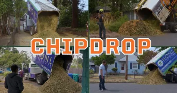 ChipDrop Delivers Free Wood Chips Straight to You!: free sample: Get FREE wood chips delivered to your doorstep with Chip Drop! This program connects gardeners with