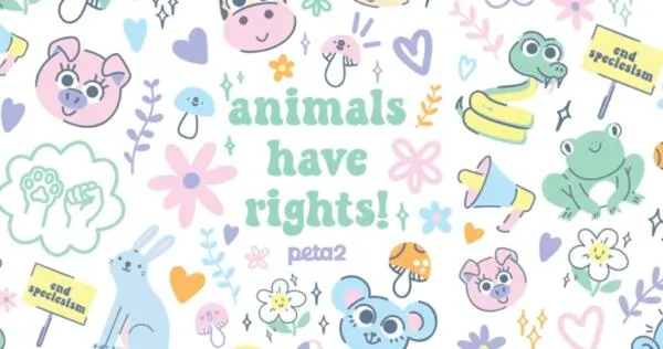 Show Your Support: Free Animal Rights Stickers!: free sample: Send away for a FREE Animal Rights Sticker Set from Peta2! Just fill out the simple form with your d