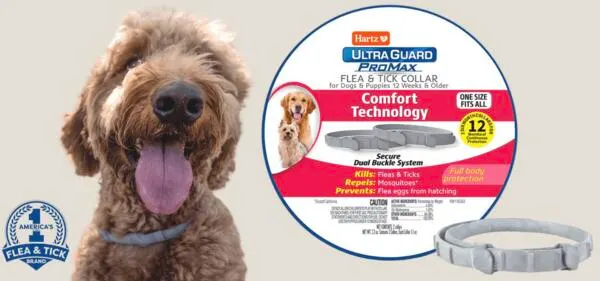 Protect Your Pup for FREE, Hartz UltraGuard PROMAX Collars!: free sample: Want to protect your pup from fleas and ticks, for free? Hartz is offering a chance to receive a FRE