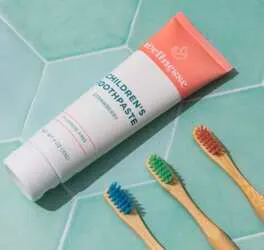Score a FREE Wellnesse Bamboo Toothbrush + FREE Shipping