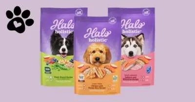 A Healthier Dog Starts Here, Get Your Free Halo Holistic Dog Food Sample!