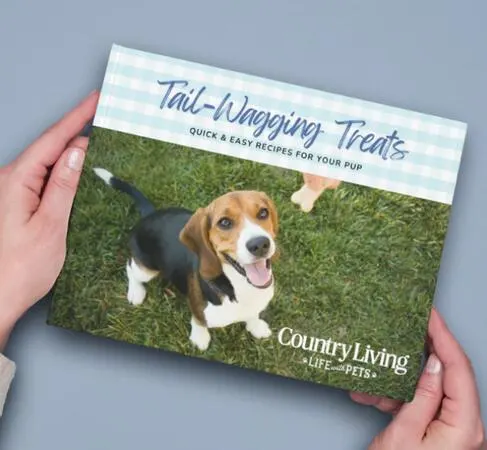 Tail-Wagging Treats Cookbook for FREE!: free sample: The "Tail-Wagging Treats" eCookbook includes recipes for training tidbits, cool snacks for hot days,