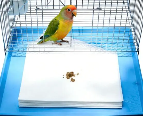 Bird Owners: Get FREE Cage Liner Samples: free sample: EZ Cage Liners is offering FREE bird cage liner samples so you can test different options before pla