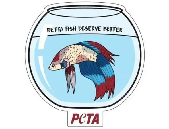 ‘Betta Fish Deserve Better’ Stickers for FREE!: free sample: Receive complimentary 'Betta Fish Deserve Better' Stickers and utilize them to encourage others to r