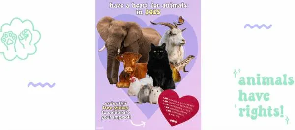 Stand for Animals: Claim Your Free ‘Have Heart’ Sticker!: free sample: PETA is offering a free Heart Animals Sticker to anyone interested in spreading awareness about comp