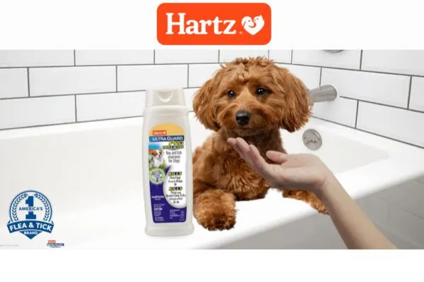 Hartz Triple Active Flea & Tick Dog Shampoo for Free: free sample: Protect your dogs against fleas, flea eggs, and brown dog ticks using this Hartz Triple Active Flea 