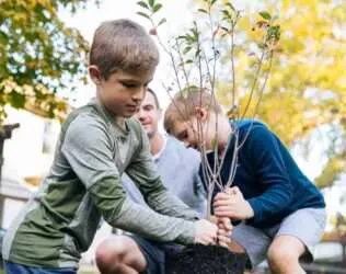 Plant a FREE Tree with Claritin