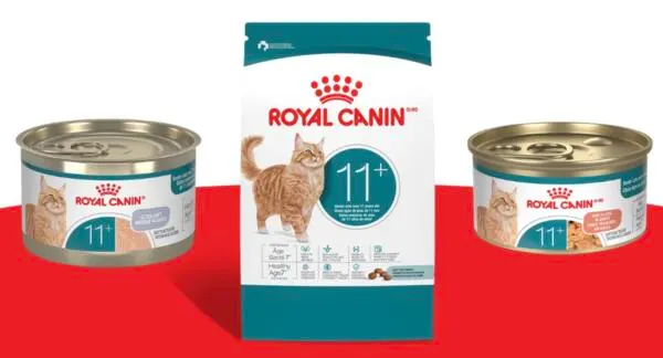 Snag a FREE Royal Canin Aging 11+ Chatterbox Kit: free sample: Apply for a FREE Royal Canin Feline Health Nutrition Aging 11+ Chatterbox Kit from Ripple Street! 15