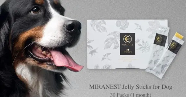 Happy & Healthy Pup, Try MIRANEST Jelly Sticks FREE for a Month: free sample: Apply now for a chance to receive a FREE 30-pack of MIRANEST Jelly Sticks for Dogs, a $120 value! Th