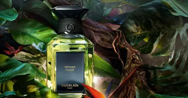 A Bold New Scent from Guerlain, Try VÉTIVER FAUVE for Free: free sample: A new free sample of Guerlain's VÉTIVER FAUVE fragrance is appearing through sponsored ads on Instag
