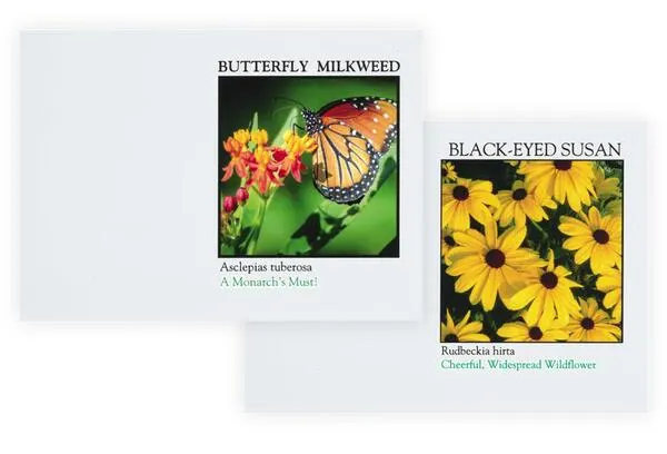 Free Seed Packs by AltNPS: free sample: So I found this free stuff from ALT US National Park Service. They're giving away free seed packs wi