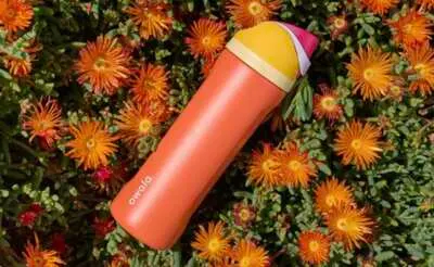 Owala Water Bottle Freebie, Sign Up with TCB!