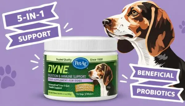 Discover DYNE Soft Chews with a FREE Sample: free sample: A new FREE sample of DYNE Digestion & Immune Support Soft Chews may be appearing through sponsored s