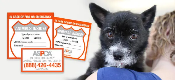 Free Safety Pack by ASPCA: free sample: I bookmarked this once and forgot to share it here. Sign up to receive a FREE Pet Safety Pack from A