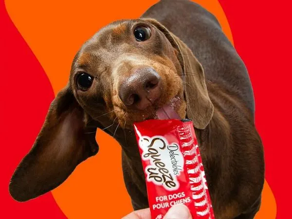 Free Hartz Pet Products: free sample: You can now join the Hartz Pet Partners Research Panel for your chance to test and review Hartz Pet