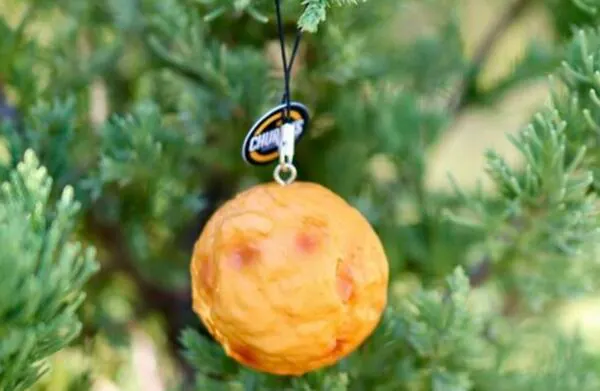 Enjoy a Free Biscuit Ornament When You Buy at Church’s Chicken: free sample: Church’s is giving away a free Honey Butter Biscuit ornament with the purchase of any Family Meal! T