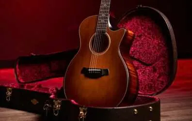 Win a Builder’s Edition 614ce WHB Guitar