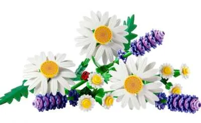 New Members Only, FREE LEGO Daisies Set