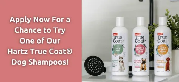 Keep Your Dog's Coat Glowing: Grab a Free Hartz True Coat Shampoo Sample: free sample: You can apply for a free sample of Hartz True Coat Dog Shampoo. By filling out a form and answering