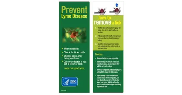 Free Bookmark: Prevent Tickborne Disease!: free sample: Check out this amazing informative bookmark & get it for free. Click the button down below and input