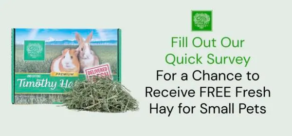 Pamper Your Pets: FREE 12 lb Timothy Hay: free sample: You can request a FREE 12 lb box of Timothy Hay from Small Pet Select if selected to provide feedbac