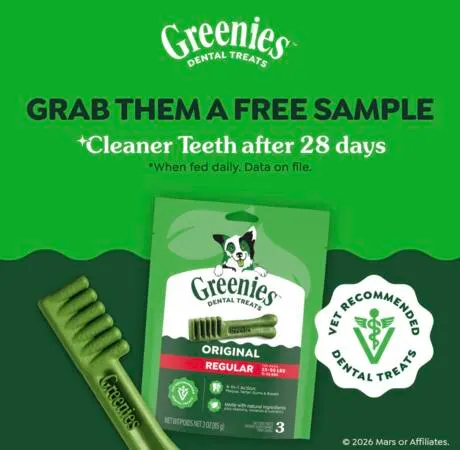 Snag FREE GREENIES Dental Treats Now: free sample: Still available! Score a FREE GREENIES Dental Chew for your dog. Just click “Get Special Offer,” fil