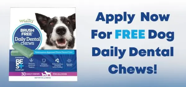 Healthy Teeth, Happy Dog, Claim Free Daily Dental Chews: free sample: TevraPet is seeking dog owners to try their Brush-Free Daily Dental Chews for Dogs, completely FREE,