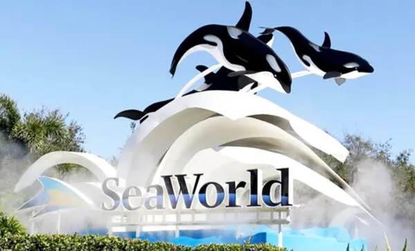 FREE SeaWorld Teacher Unlimited Admission Pass!: free sample: SeaWorld is offering a Free Unlimited Admission Pass (Free Teacher Fun Card) to all active and certi