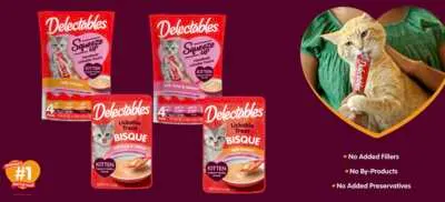 Kitten-Approved! Get FREE Hartz Delectables Treats!