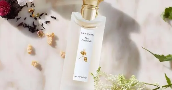 Fragrant Bliss: Score a FREE Sample of Bvlgari’s Eau Parfumée Au Thé Blanc: free sample: Gracing your skin with a veil of delicate, fresh scent, the Eau Parfumée Au Thé Blanc Fragrance by B