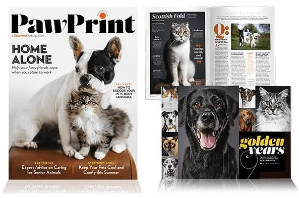 PawPrint Magazine for Free: free sample: Are you a pet lover or do you just have a very special pet that you love like your own child? I am s