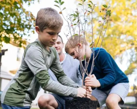 Plant a FREE Tree with Claritin: free sample: Get a FREE tree from the Claritin DiversiTree Project! Enter the address where you plan to plant you