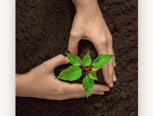 Plant a Heart, Grow a Garden: FREE Seed Paper Heart Giveaway!: free sample: The free plantable seed paper hearts from Gabby Wild are a special initiative aimed at supporting po