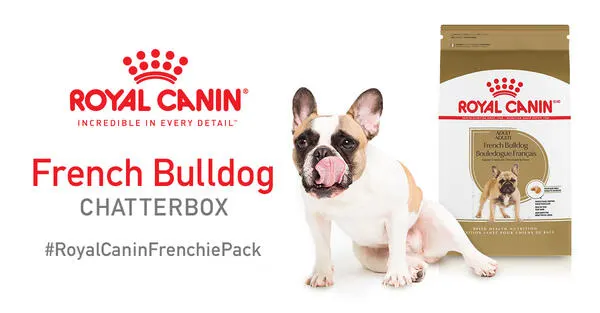 Get a Royal Canin® French Bulldog Chatterbox For Free! — free sample: If your best friend is a French Bulldog, you are in luck today. Royal Canin is giving away 100 chatt